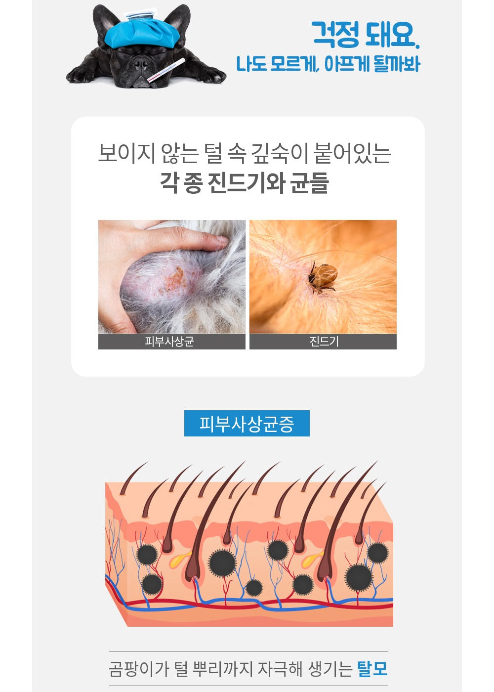 Made in Korea Designer and veterinarian masterpieces Far Infrared Mite Removal Brush Pet Styler