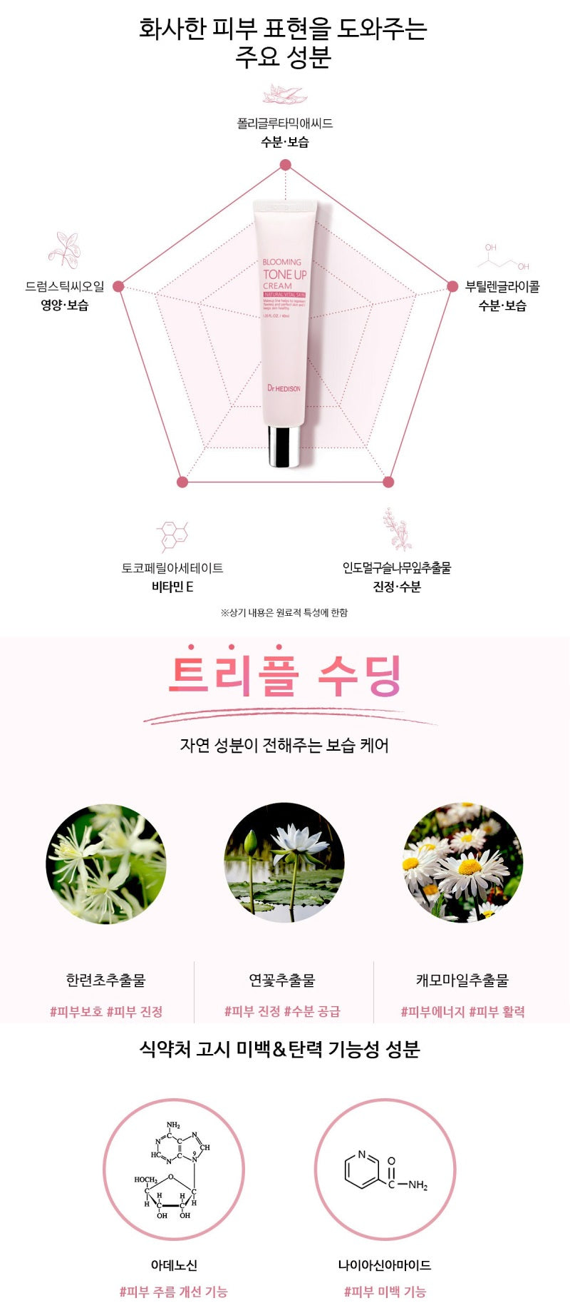 Made in korea Dr.Hedison BLOOMING TONEUP CREAM 40ml+40ml